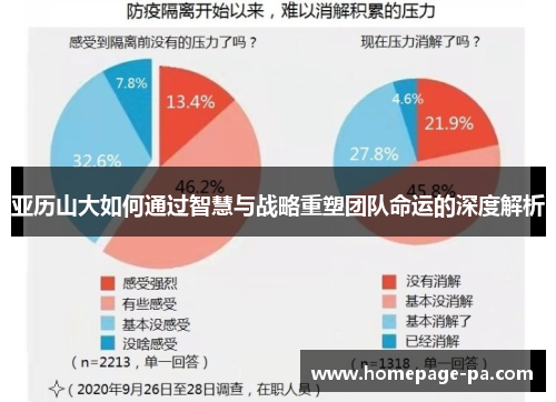亚历山大如何通过智慧与战略重塑团队命运的深度解析