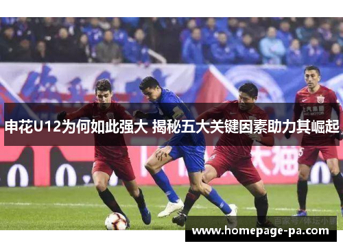 申花U12为何如此强大 揭秘五大关键因素助力其崛起