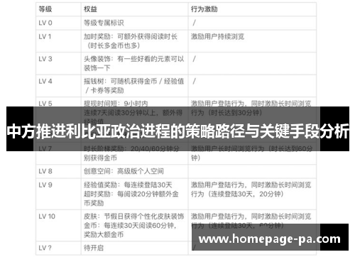 中方推进利比亚政治进程的策略路径与关键手段分析