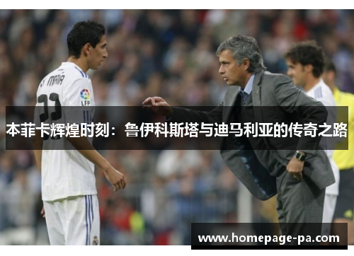 本菲卡辉煌时刻：鲁伊科斯塔与迪马利亚的传奇之路