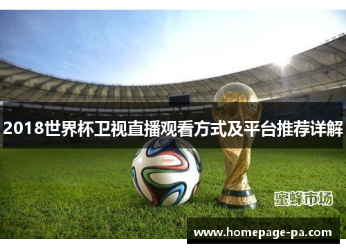 2018世界杯卫视直播观看方式及平台推荐详解