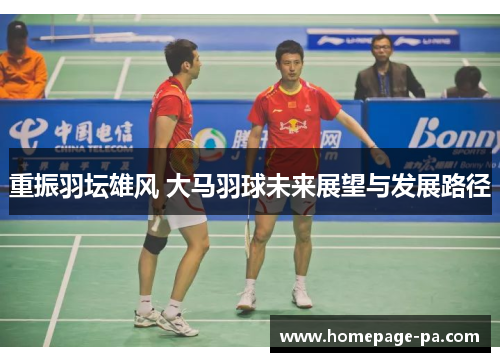 重振羽坛雄风 大马羽球未来展望与发展路径